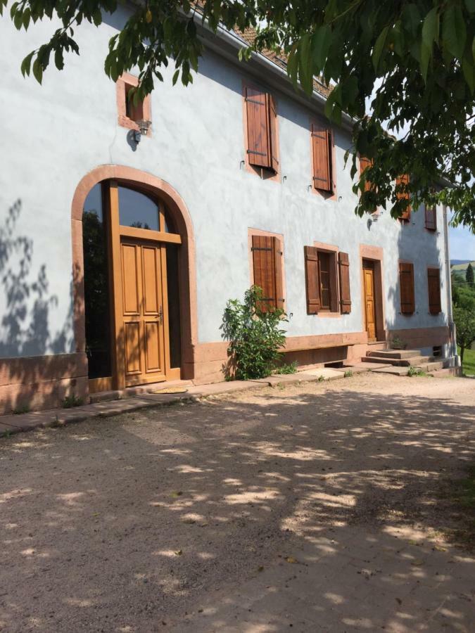 Holiday home Le Vieux Ruisseau Sauna Et Massages Lapoutroie