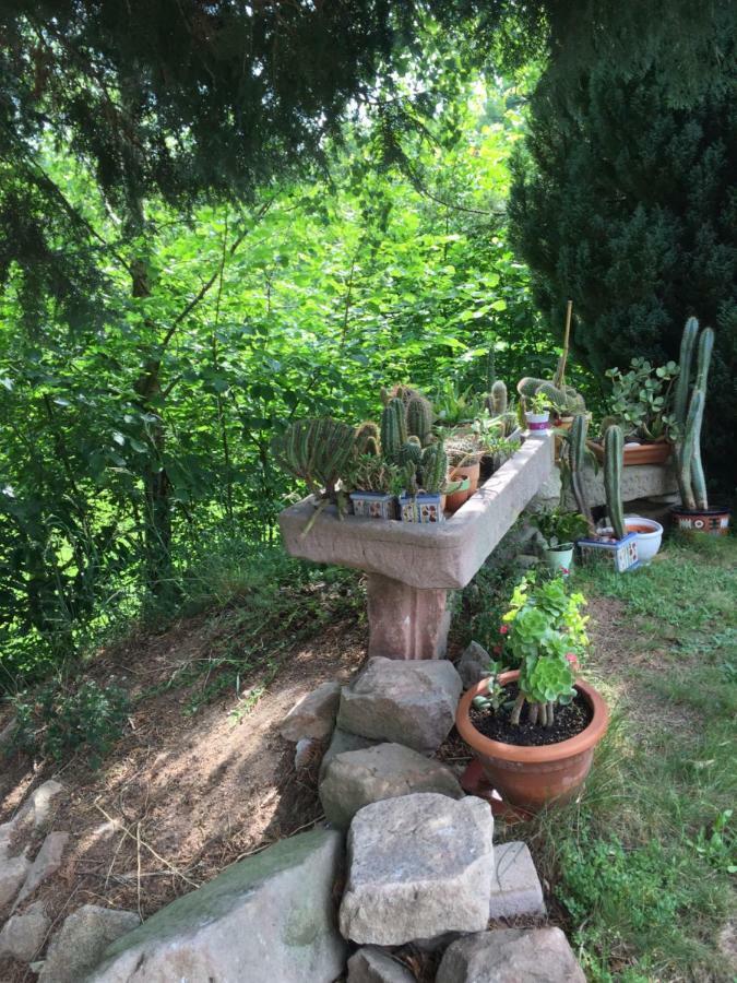 Le Vieux Ruisseau Sauna Et Massages * Lapoutroie